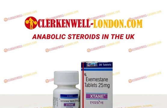 Cats, Dogs and hepatite steroide