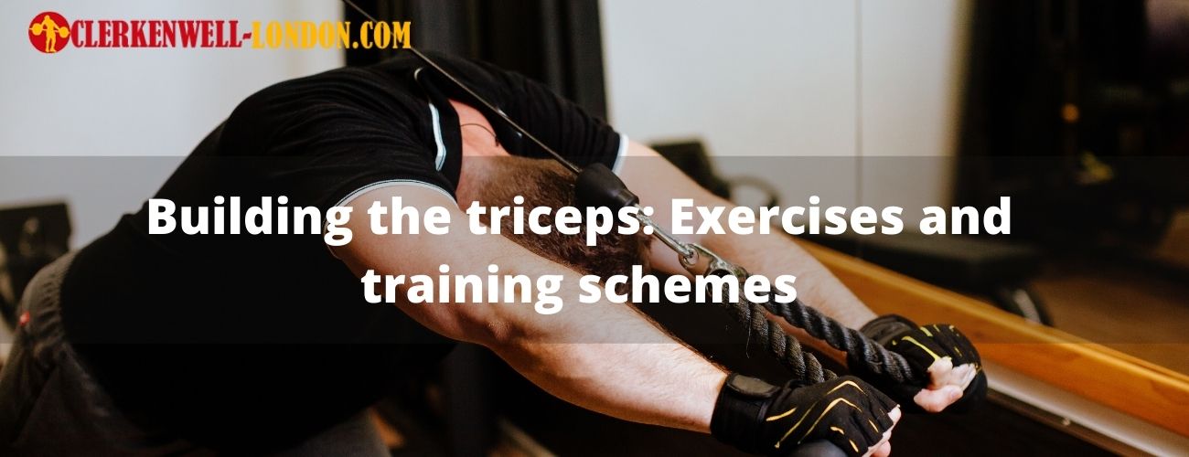 Building the triceps: Exercises and training schemes