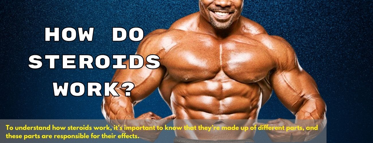 How Do Steroids Work?