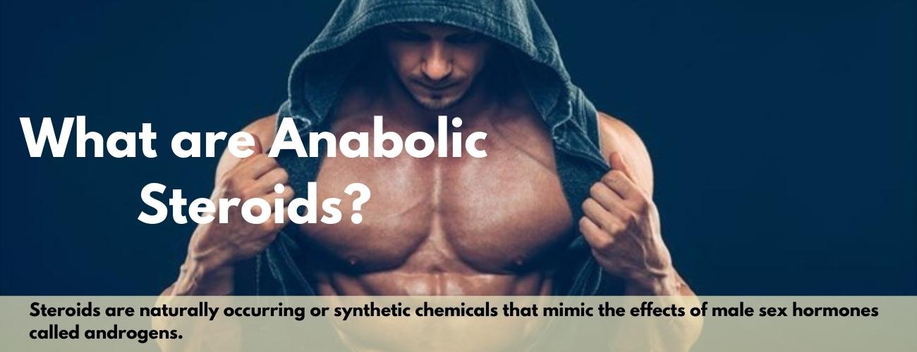 What are Anabolic Steroids