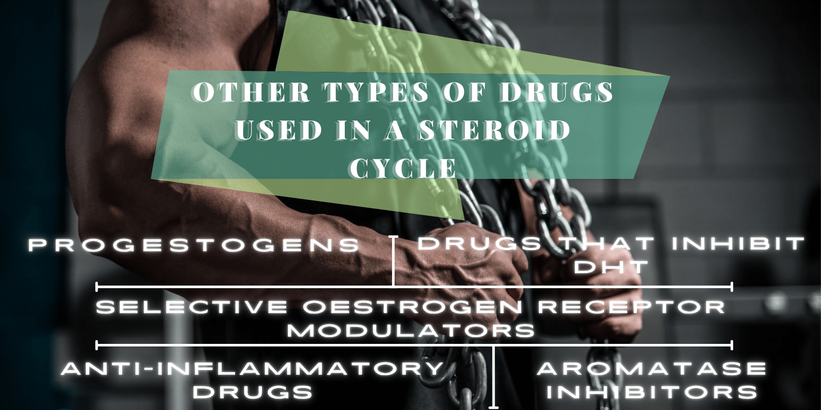 Other Types of Drugs used in a Steroid Cycle