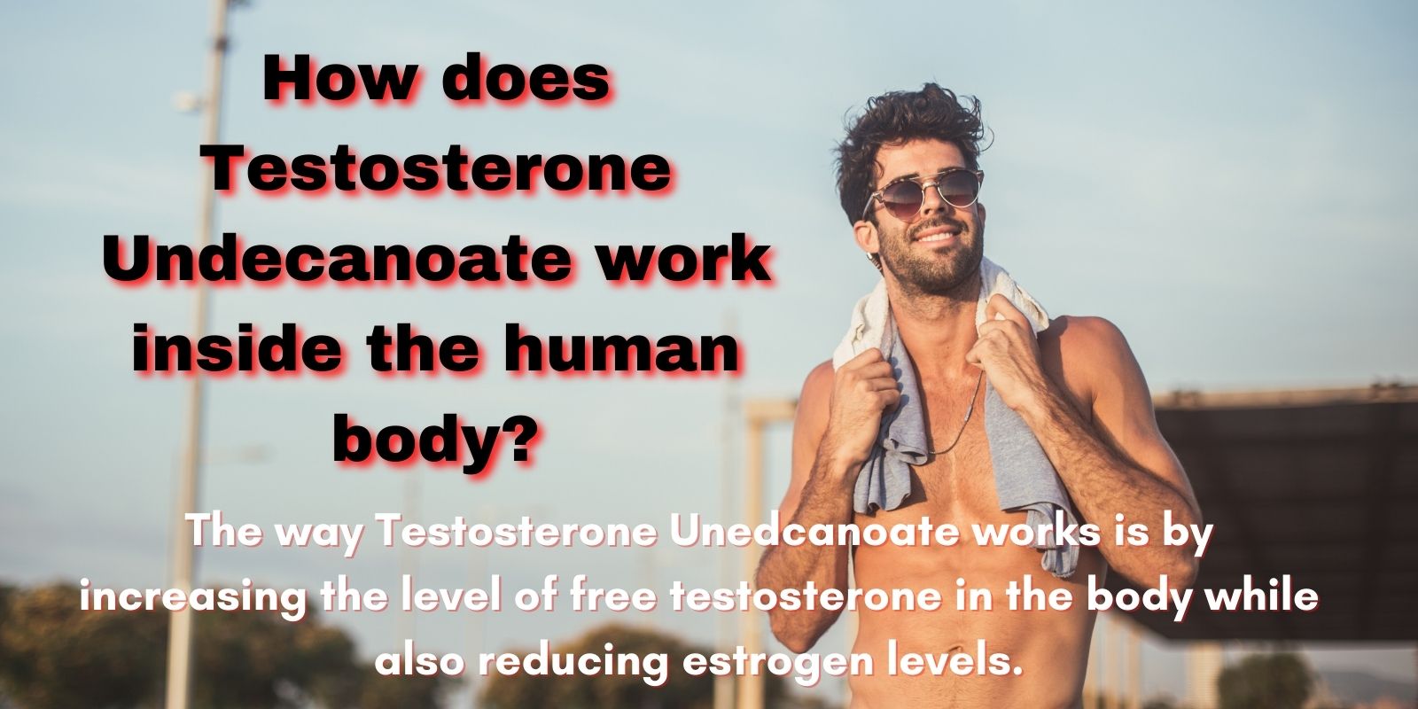 How does Testosterone Undecanoate work inside the human body?
