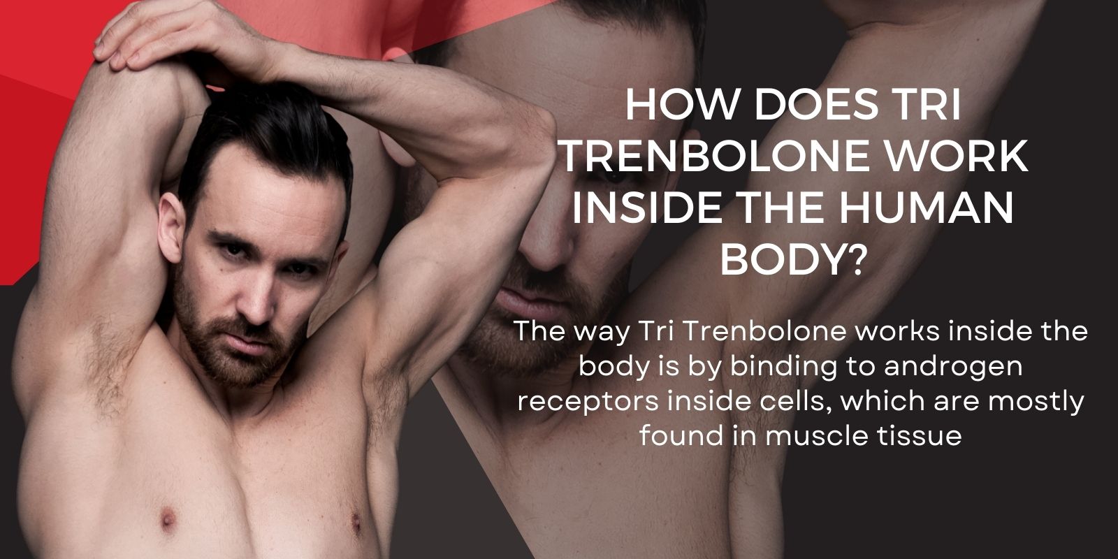 How does Tri Trenbolone work inside the human body_