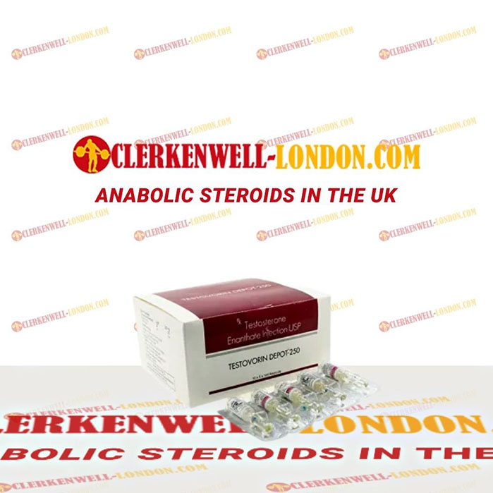 Testovorin Depot-250