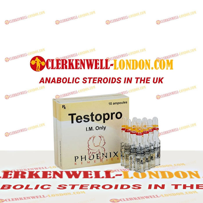 Testopro (ampoules)