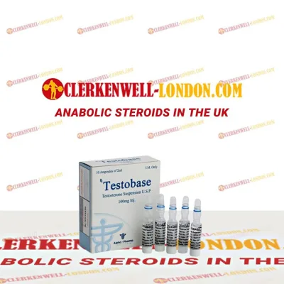 Testobase